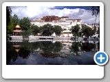 Potala reflected and tree framed